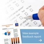 A small image of example consumer report